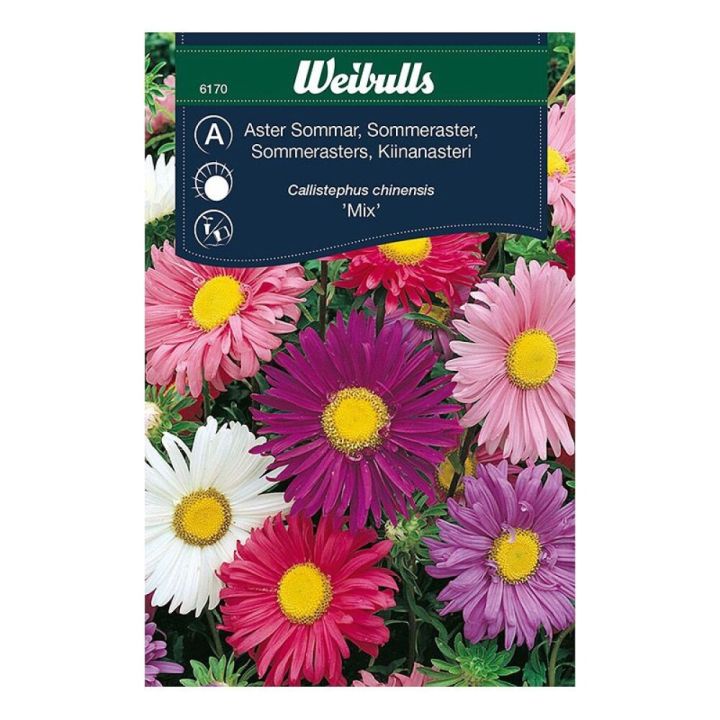 Sumarstjarna blönduð fræ Weibulls Callistephus chinensis