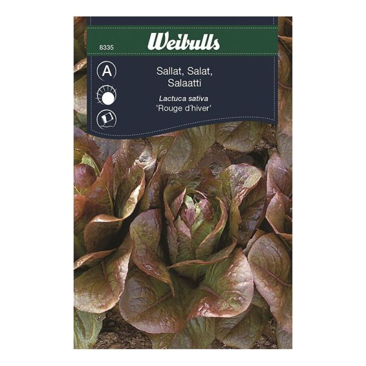 Salat fræ Weibulls Lactuca sativa