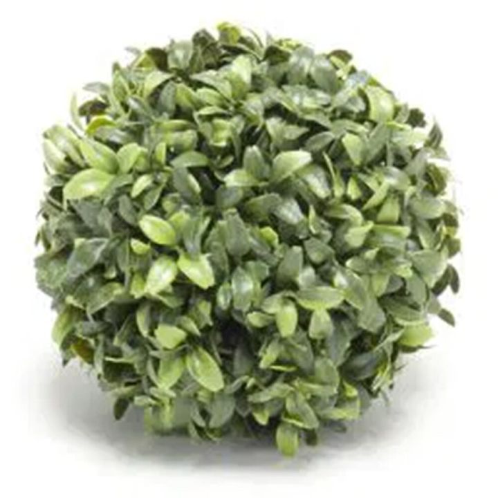 Gerviplanta buxus kúla 15cm Emerald