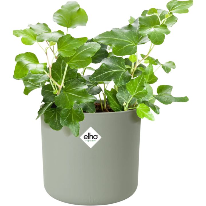 Blómapottur B.For Soft Ø16cm Elho