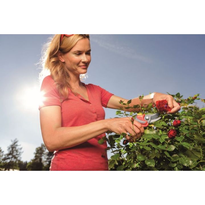 Greinaklippur 22mm Wolff Garten Premium Plus RR4000