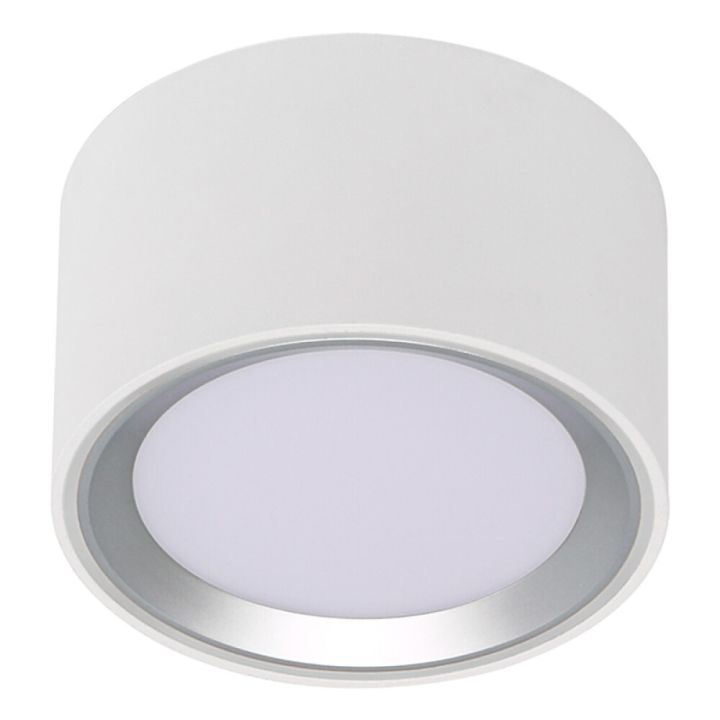 Loftljós LED Fallon hvítt Ø10xH6 cm