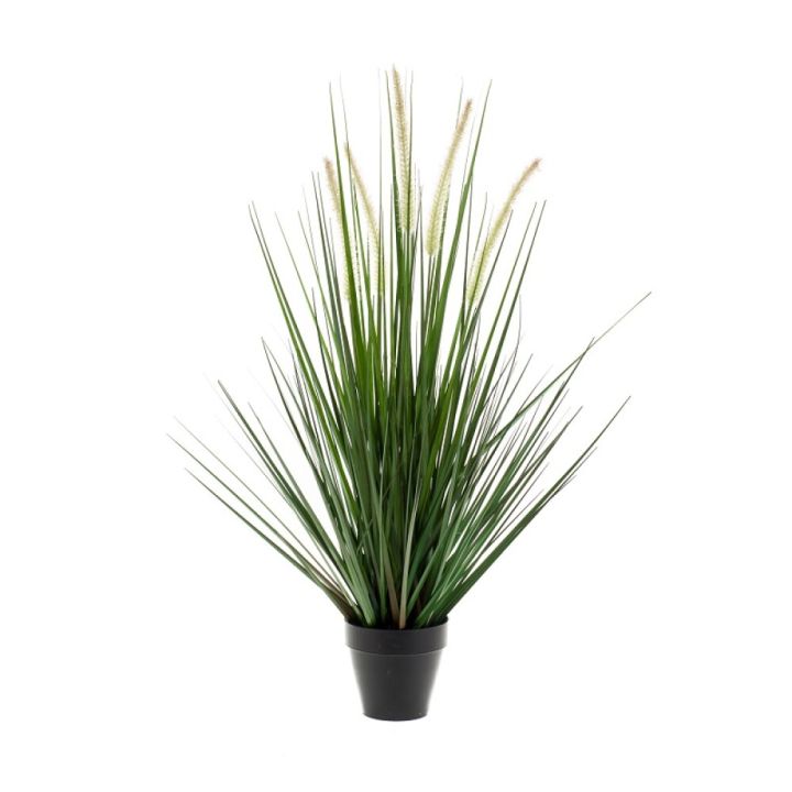 Gerviplanta gras Alopecurus Emerald 69cm