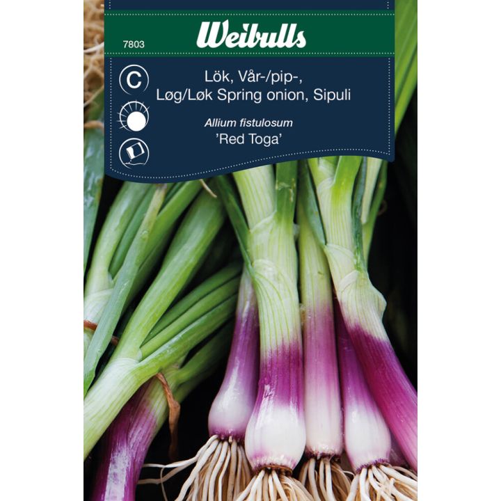 Grænmetisfræ vorlaukur Red Toga Wibulls