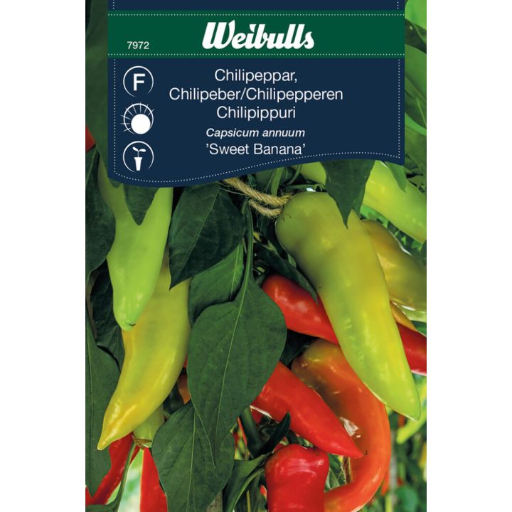 Grænmetisfræ chilli Sweet BananaWibulls
