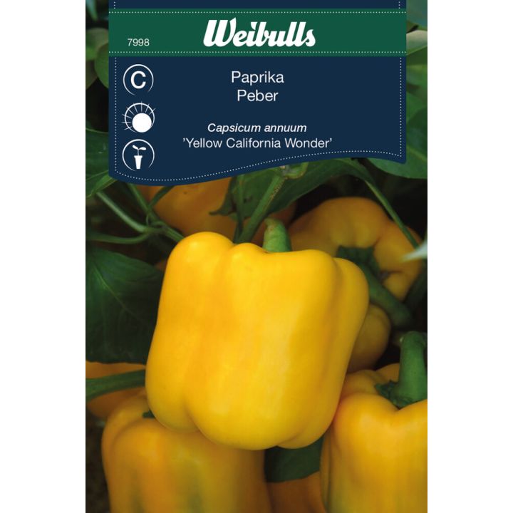 Grænmetisfræ papríka Yellow California Wibulls