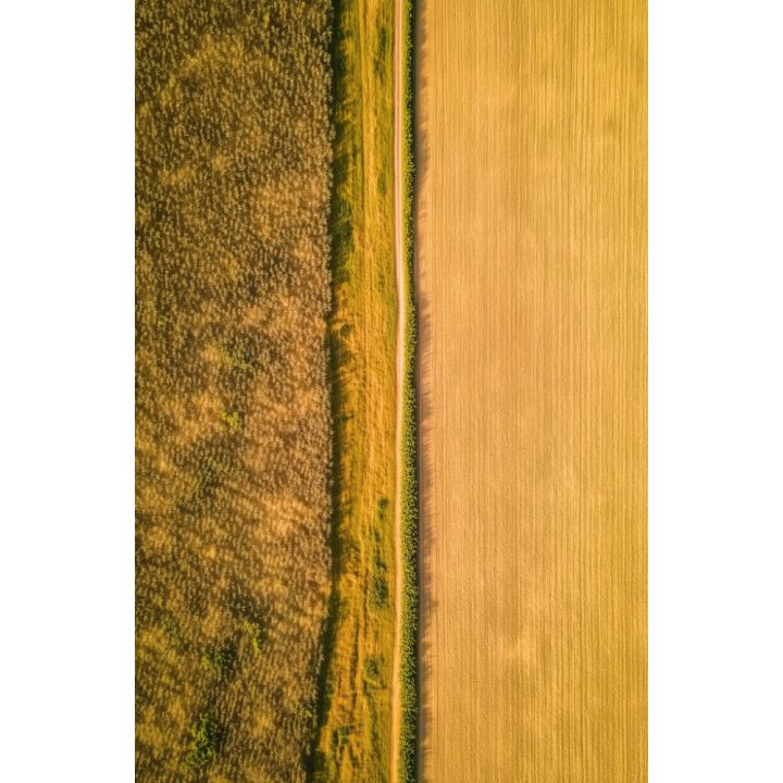 Hljóðvistarmynd landslag gult 800x1220x20 mm InEx