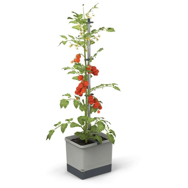 Tómatapottur Tom Tomato með sjálfvökvun Garden Life