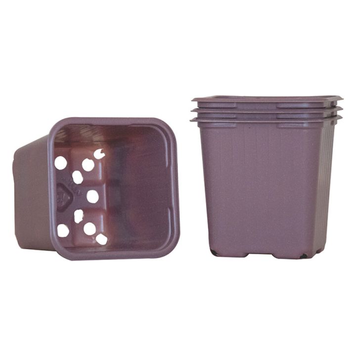 Sáningarpottar fjólubláir 8cm Weibulls 20stk