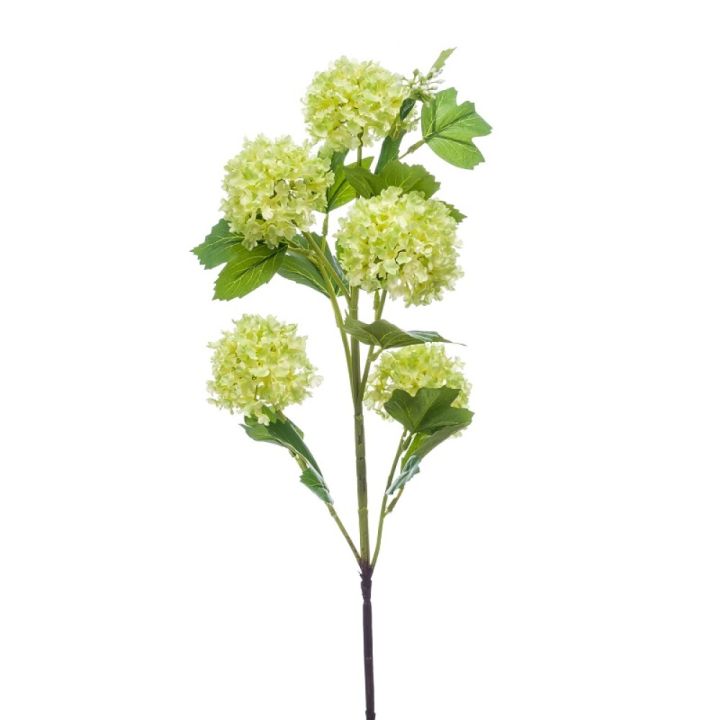 Gerviplanta Viburnum Emerald græn 75cm