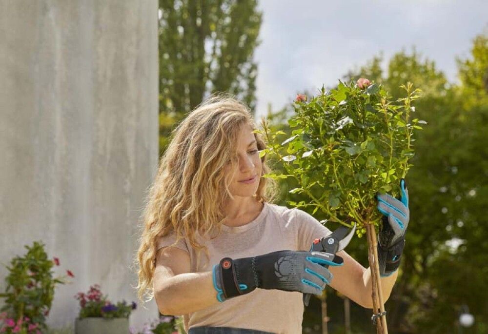 Garðhanskar str. M/L Rósir