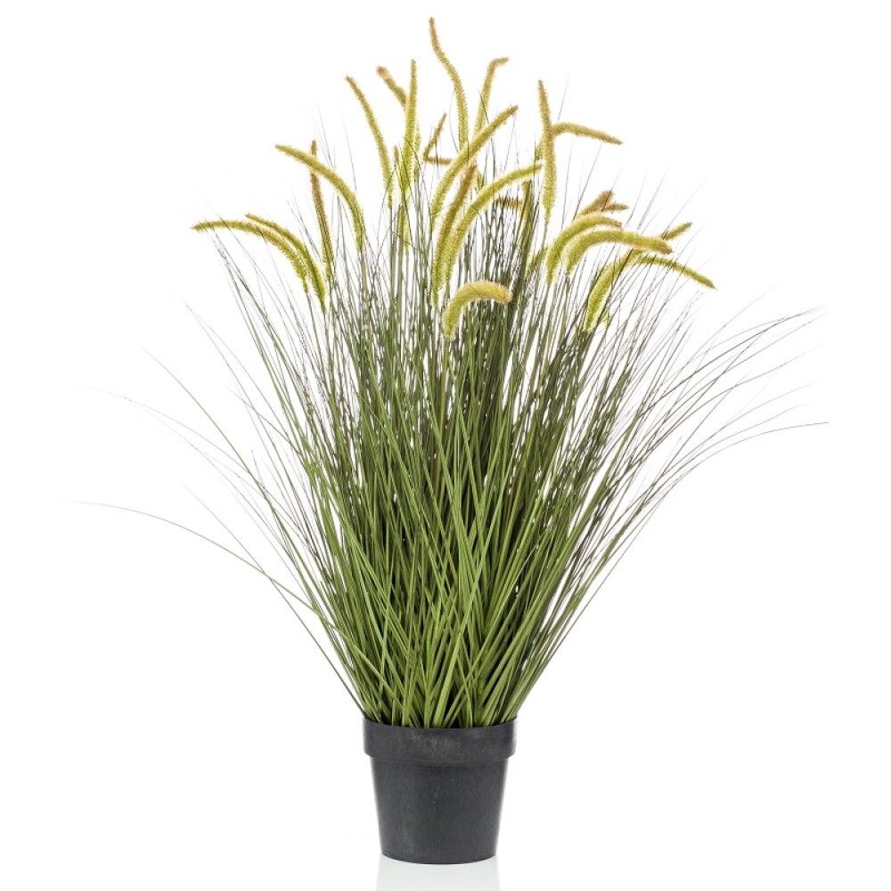 Gerviplanta gras Cattail Emerald 100cm
