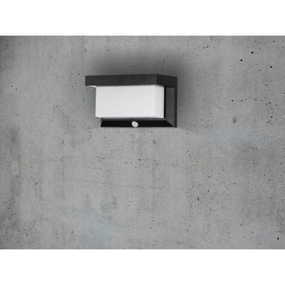 Veggljós með sólarsellu LED dimmanleg Utrera 20x12 cm
