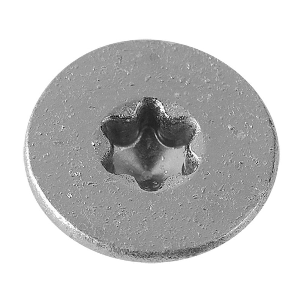 Tréskrúfur TX Ø4,5x60 mm 100 stk Profi Depot A2