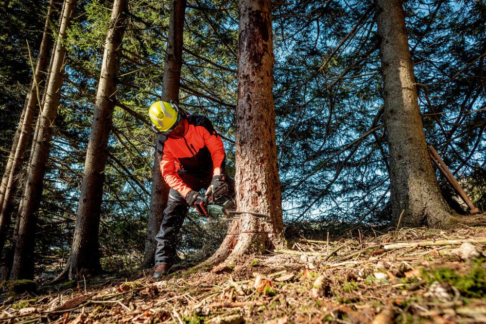 Keðjusög 18V 30 cm Metabo MS36-18LTX án rafhlöðu