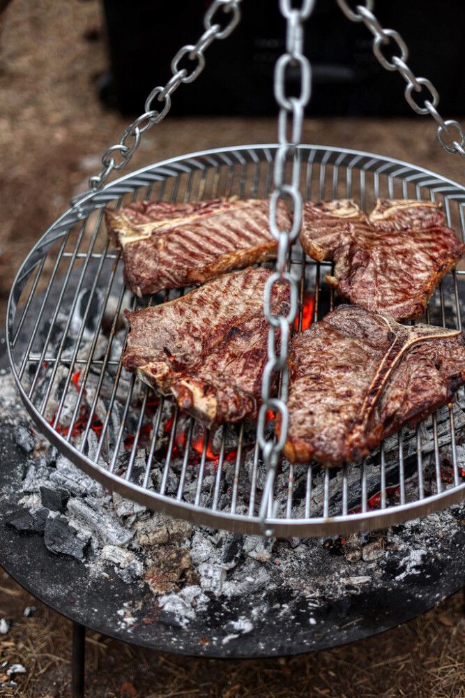 Grind fyrir eldstæði ryðfrítt stál Petromax