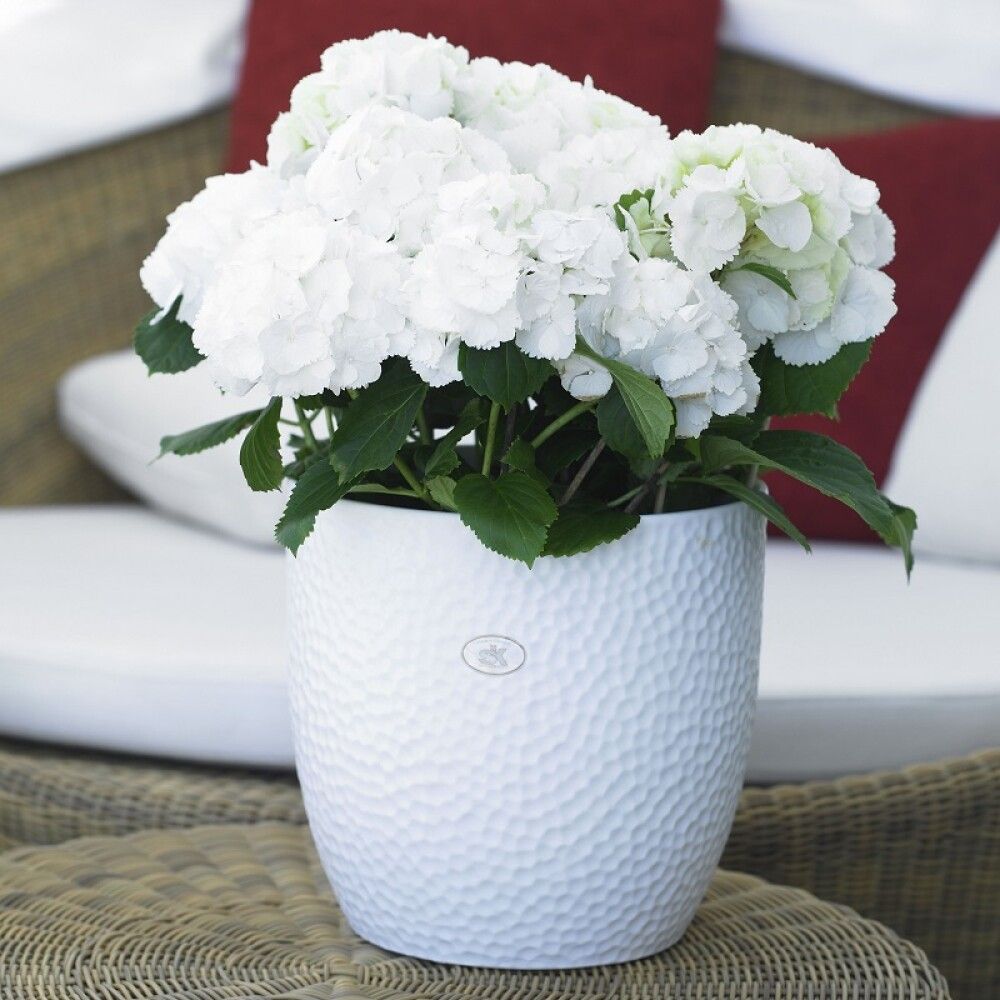 Blómapottur Boston Ø16cm hvítur