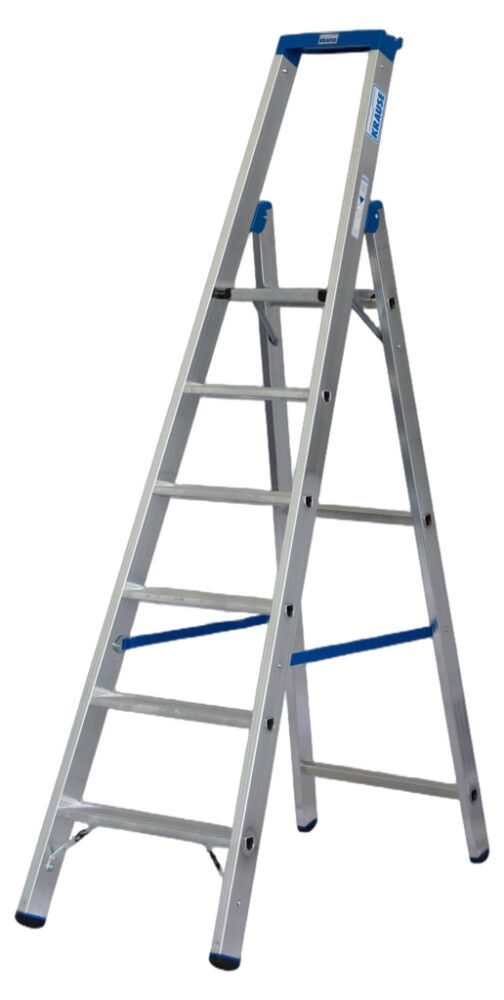 Smámynd 4