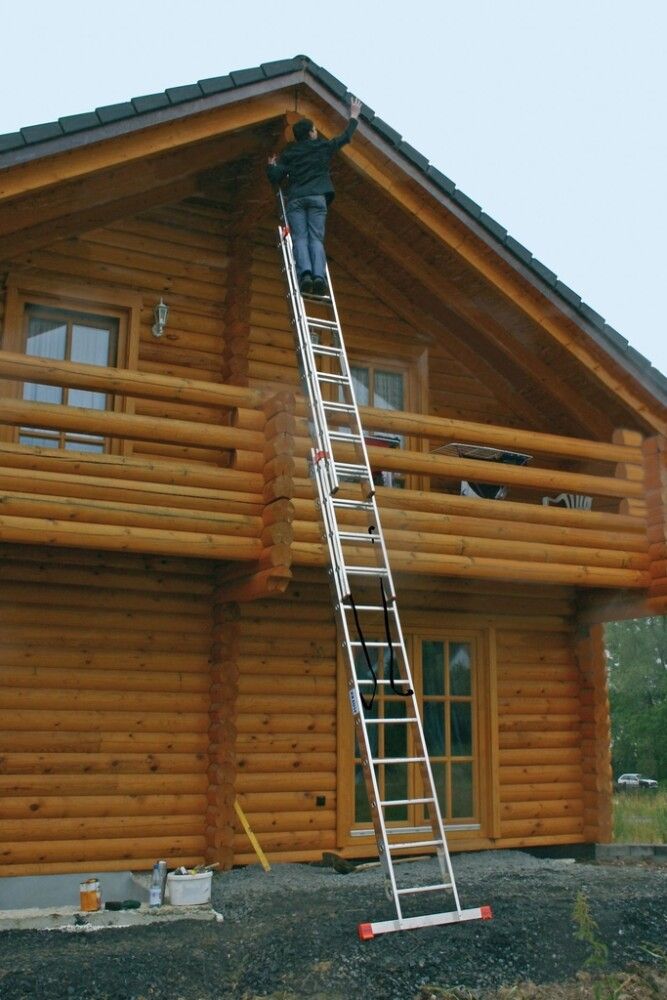 Smámynd 8