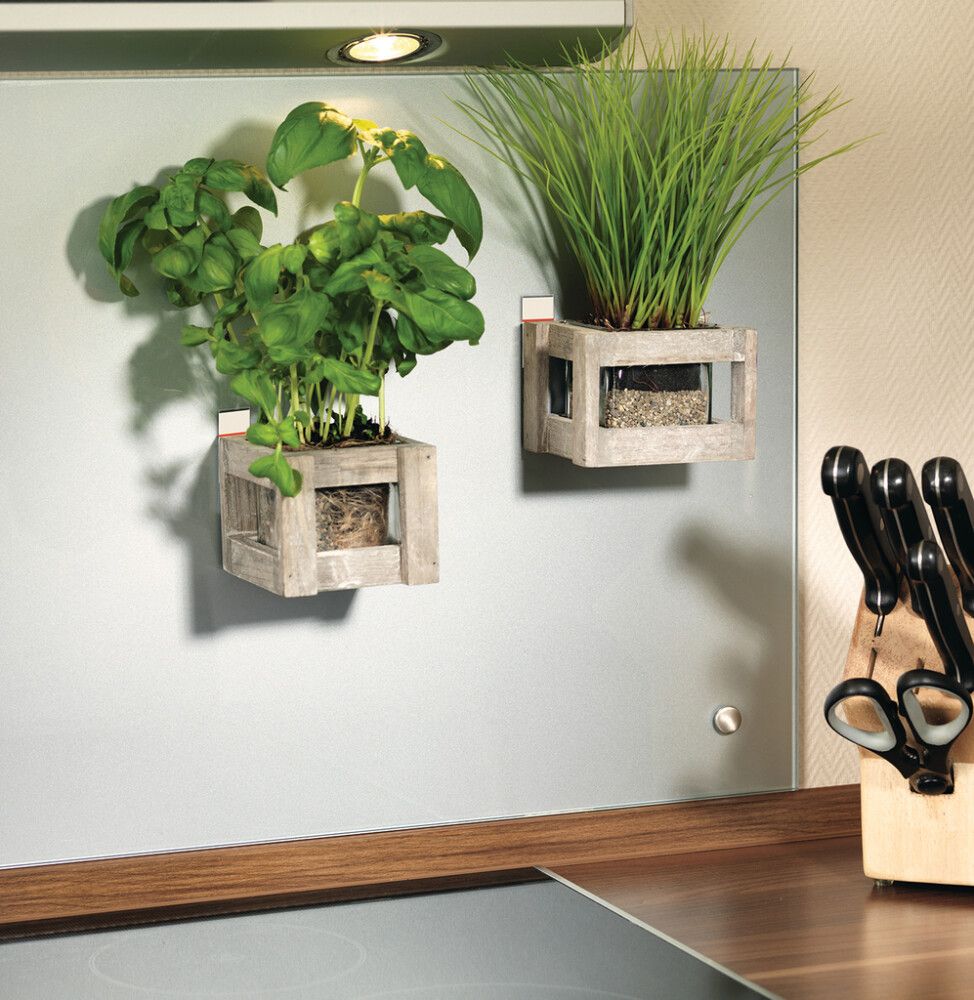 Tvíhliða límband 2kg Tesa Powerstrips L 10stk