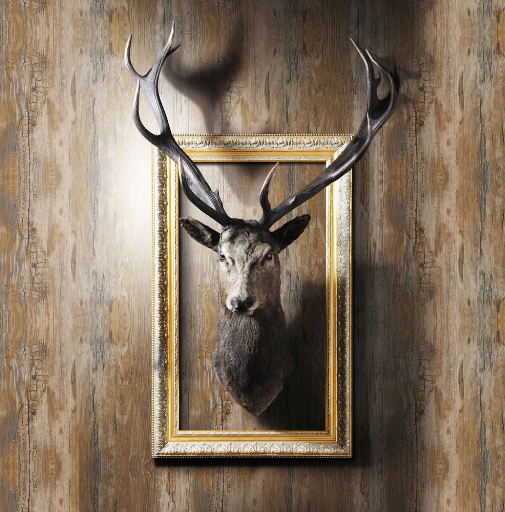 Filma rustik træ, 45cmx2m tré