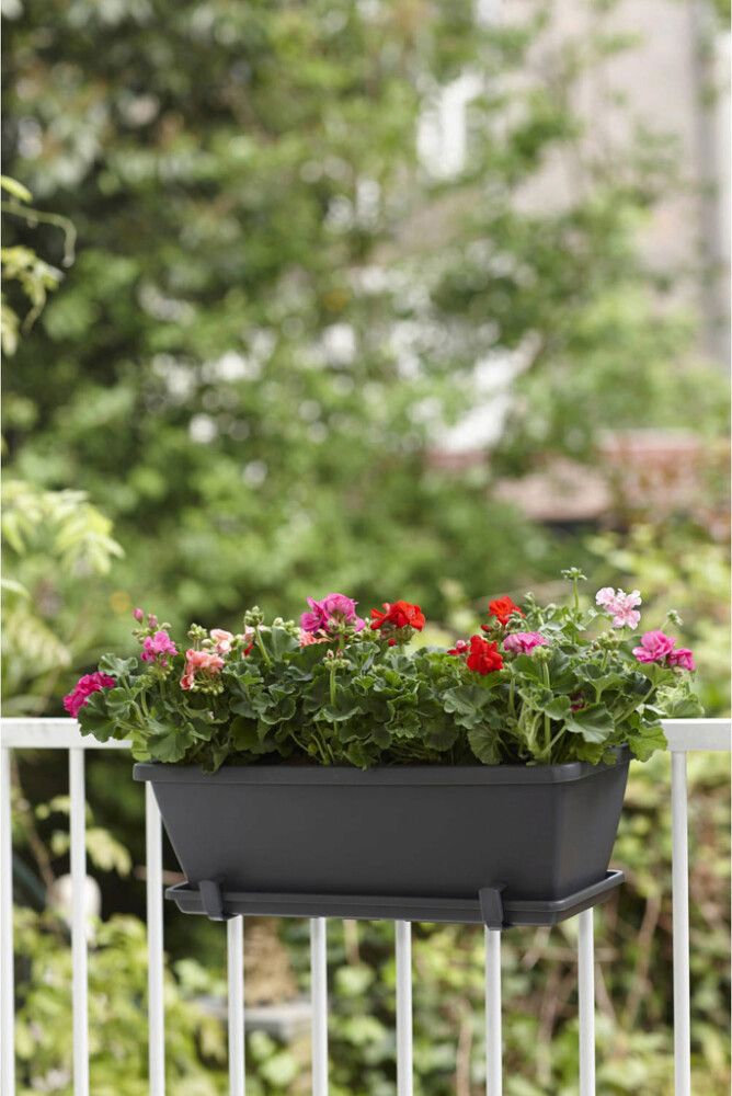 Undirskál Barcelona 65 cm Elho koksgrár