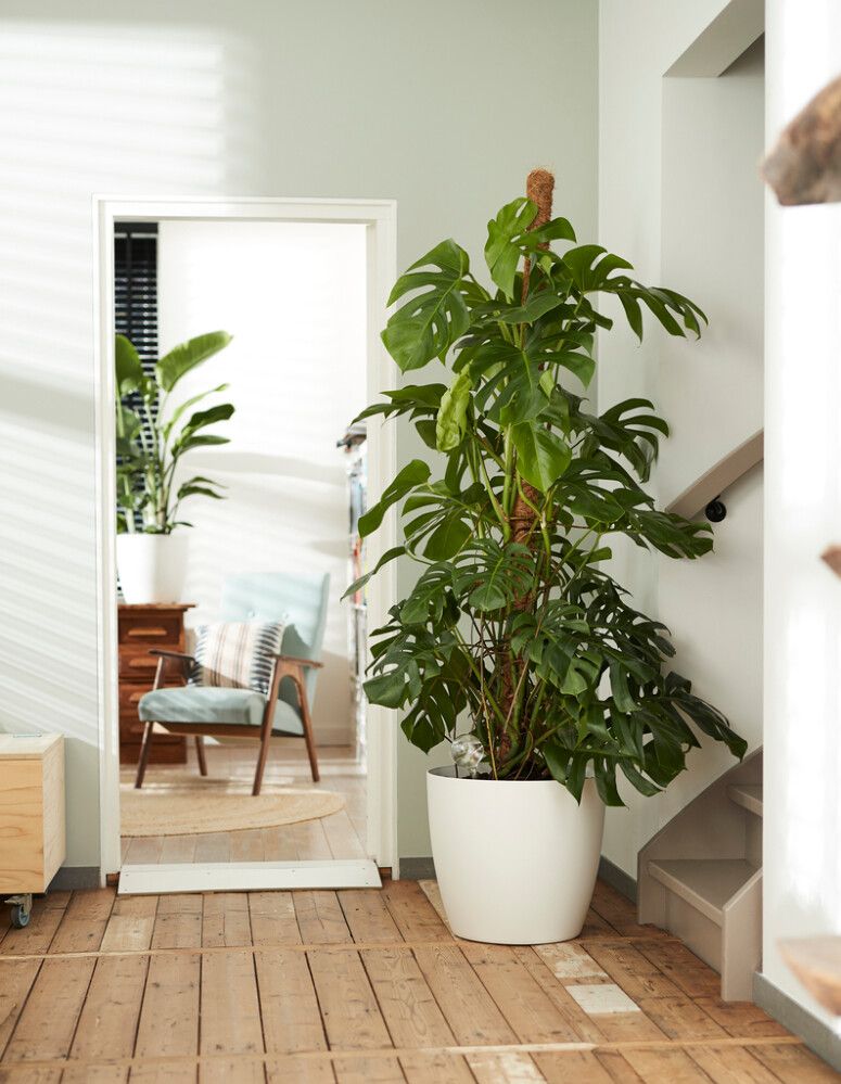 Blómapottur á hjólum Brussels Ø47cm hvítur