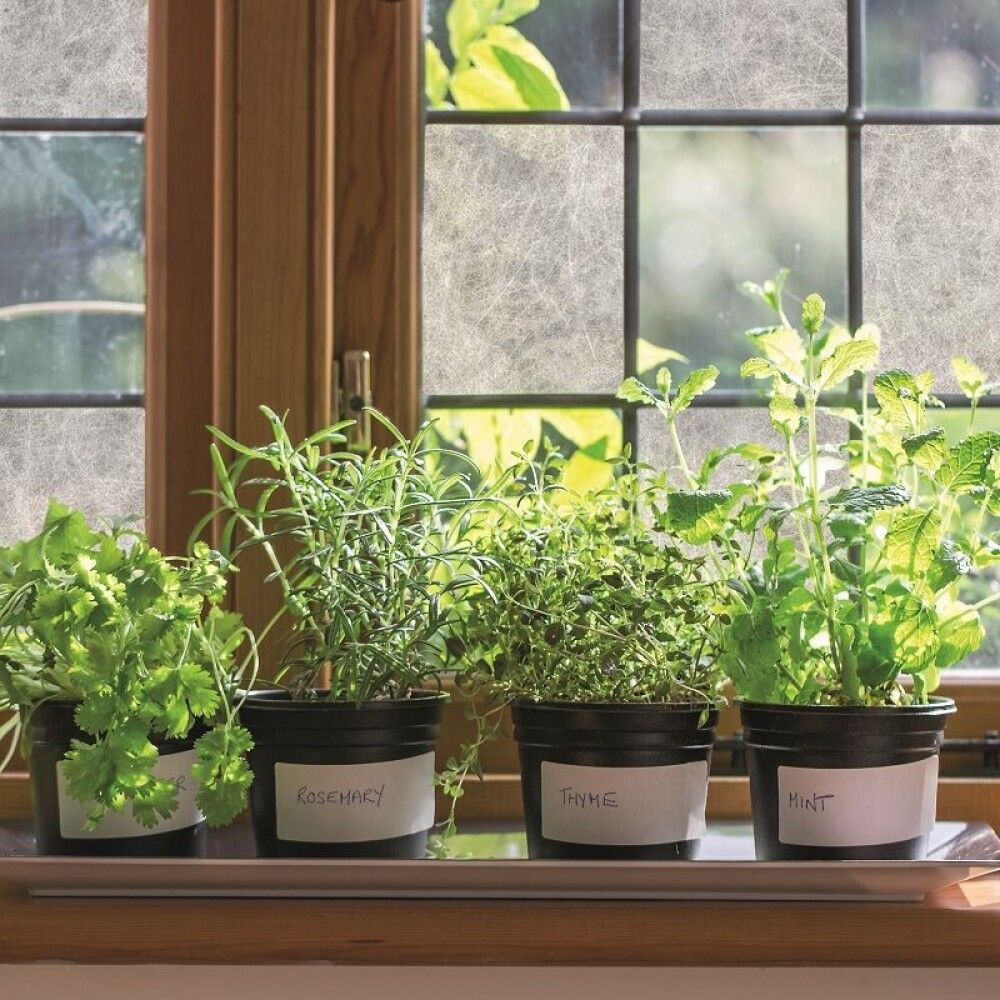 Filma rispapir, 67.5cmx2m gegnsæ hvítur