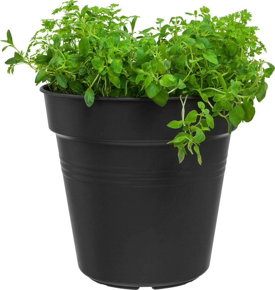Blómapottur Green basic Ø30 cm Elho svartur