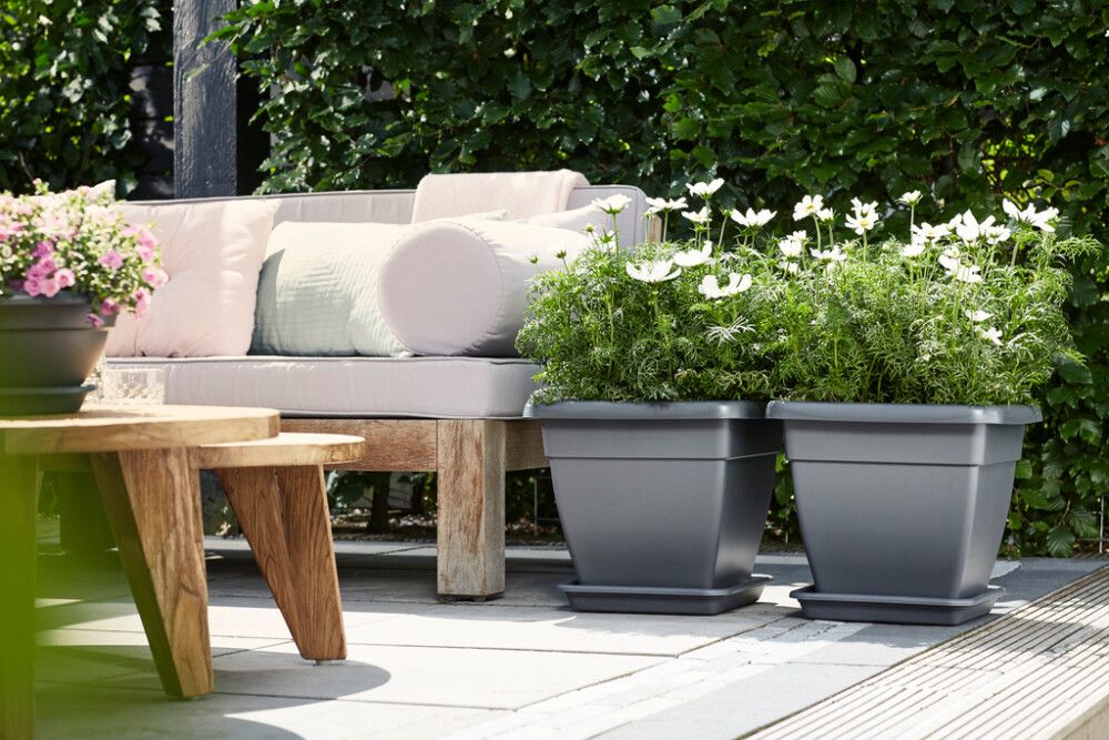 Undirskál Universal Square 25x25 cm Elho kóksgrár