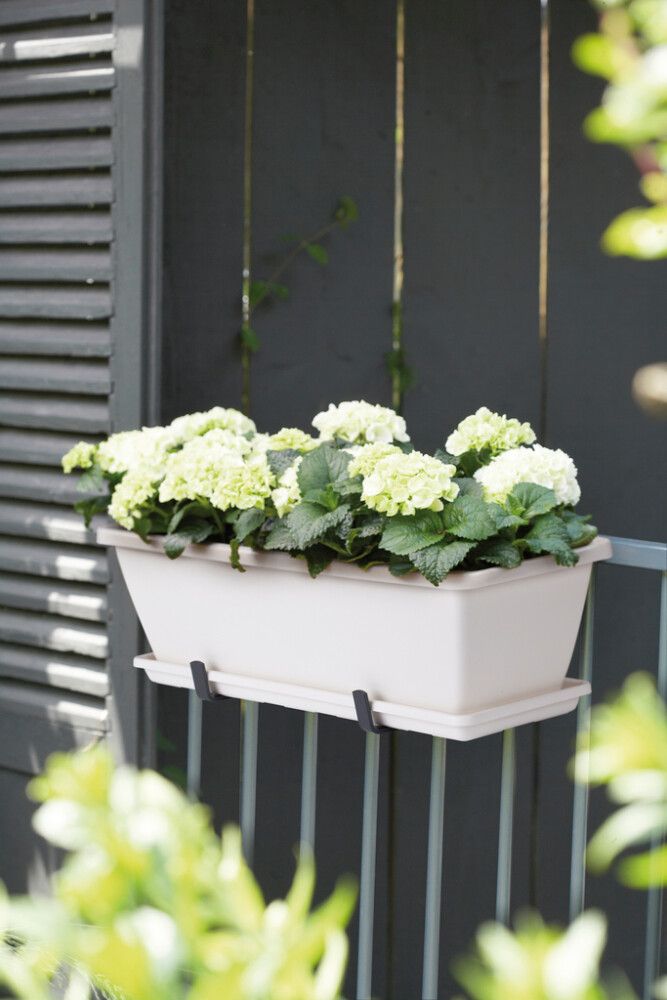 Svalapottur Barcelona 70cm hvítur