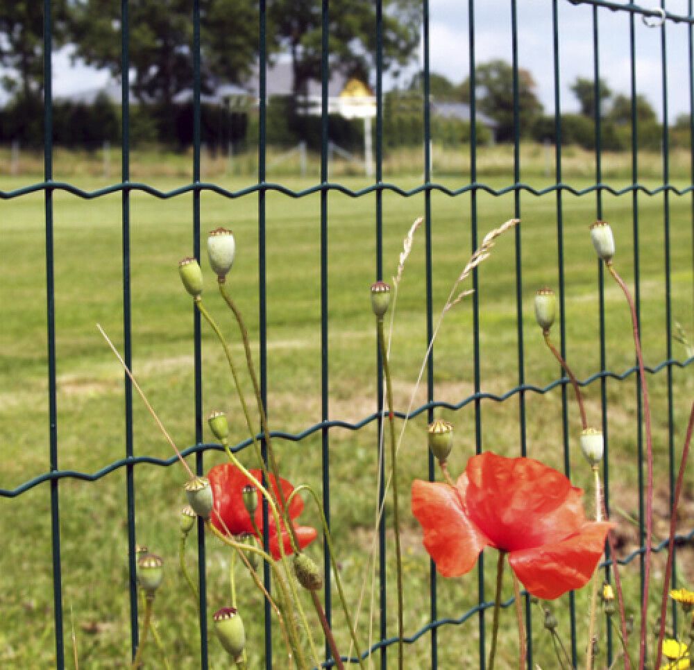 Girðingarnet H:90 cm L:25 m möskvi 100x100 mm NSH svart
