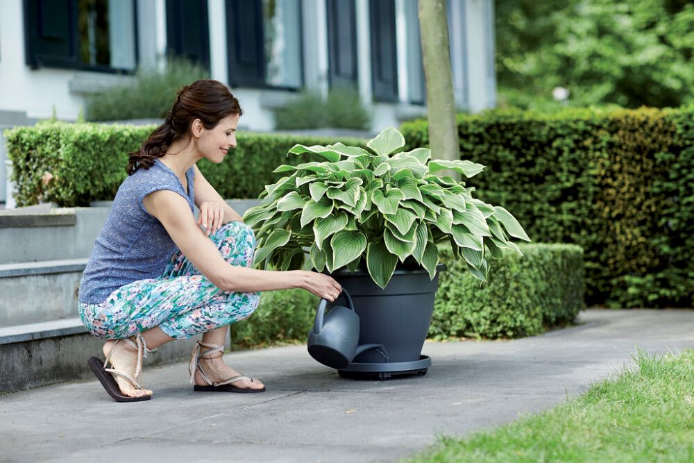 Undirskál með hjólum Universal Planttaxi Ø28,5cm dökkgrár