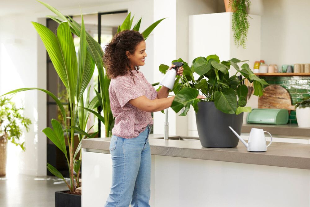 Garðkanna 1,8L Elho hvítur