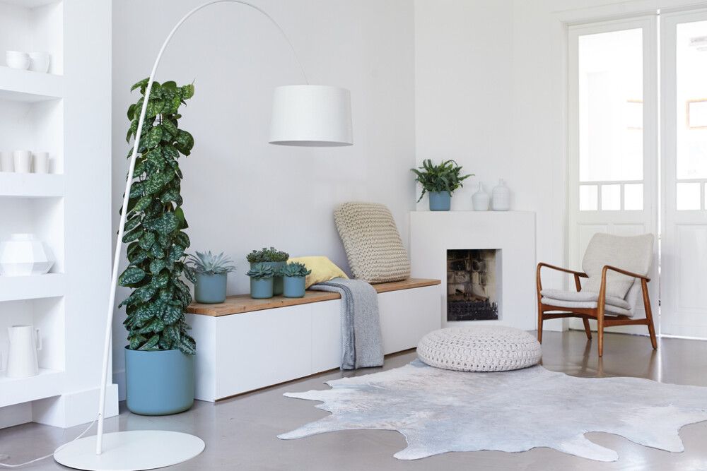 Blómapottur B.for Soft Ø18 cm Elho grænn