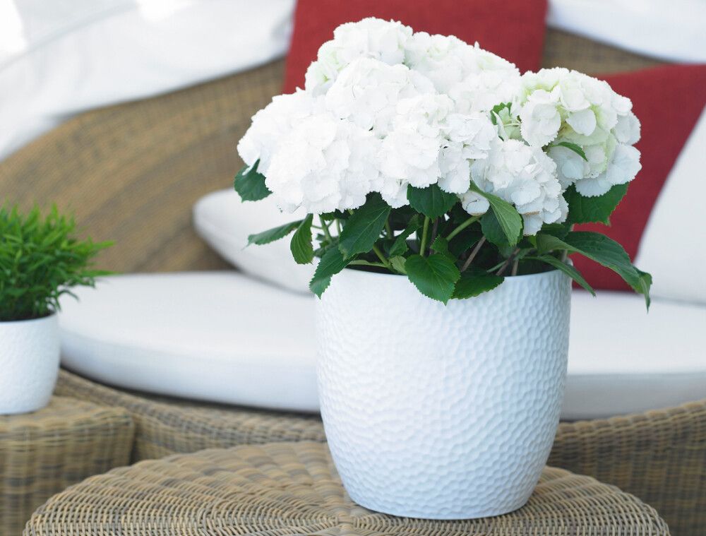 Blómapottur Boston Ø21cm hvítur