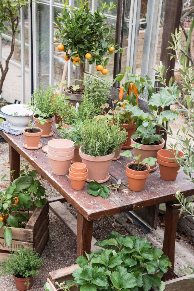 Blómapottur antík 28/31cm Scan-Pot