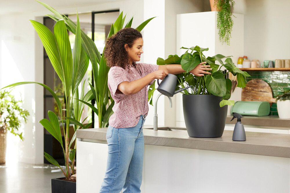 Vatnskanna Brussels 1,8L Elho dökkgræn