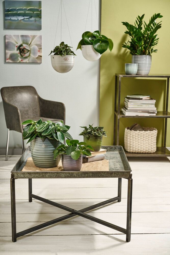 Blómapottur Bergamo Ø19cm grænn