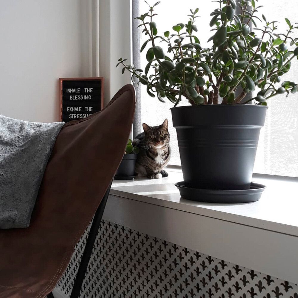 Undirskál Green Basics Ø29 cm Elho svartur