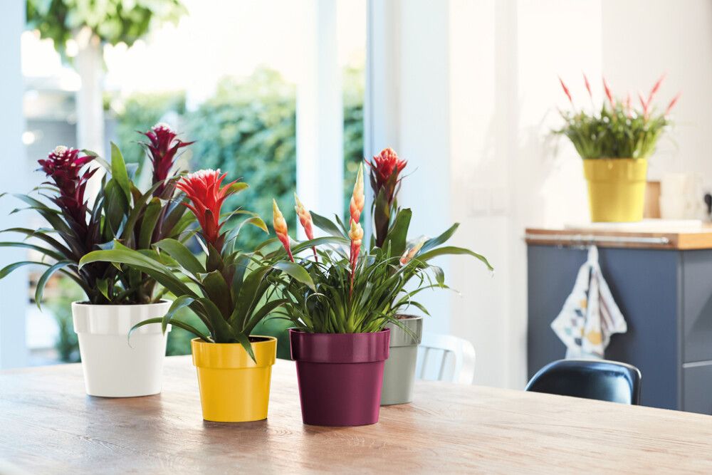 Blómapottur B.for Orginal Ø18 cm Elho hvítur