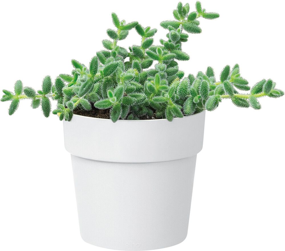 Blómapottur B.for Orginal Ø7 cm Elho hvítur