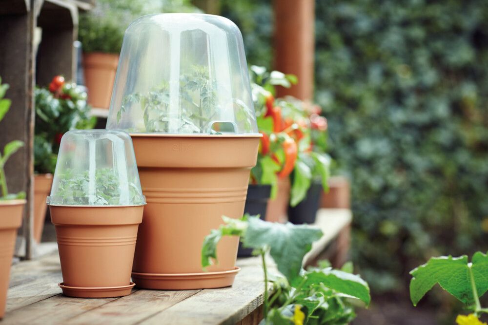 Blómapottalok Green Basics Ø30cm Elho glært