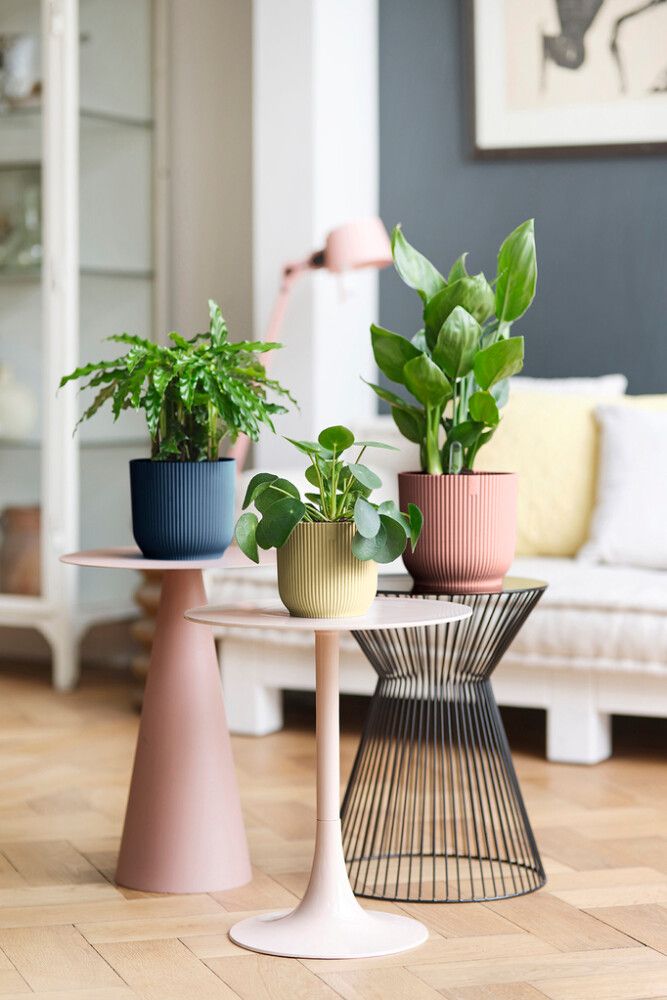 Blómapottur Vibes Fold Mini Ø22cm pink