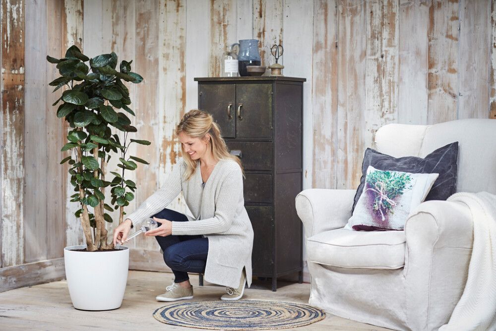 Sjálfvökvari fyrir mold 2stk Aquacare 350ml Elho