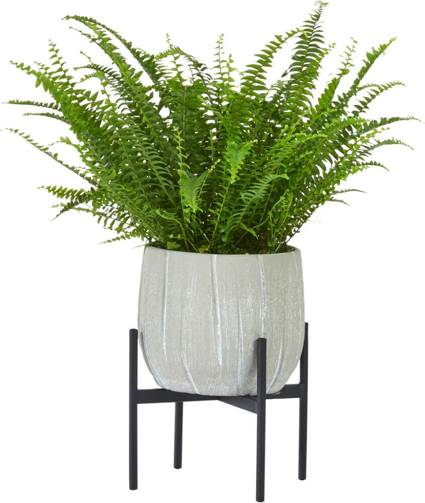 Fótur fyrir blómapott Ø19x15cm Soendgen Keramik