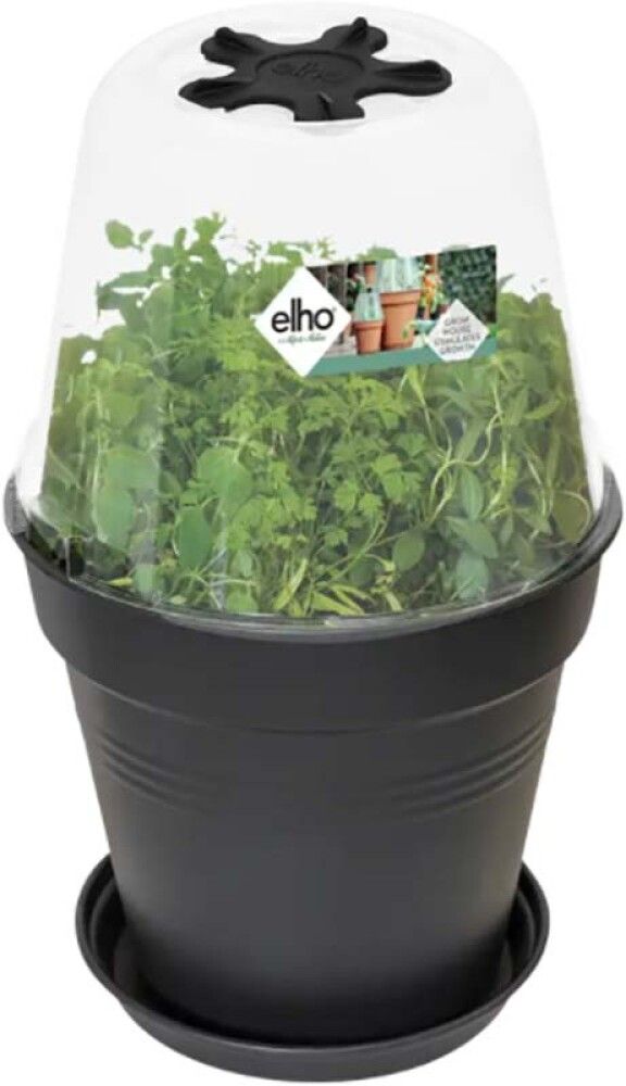 Blómapottalok Green Basics Ø17cm Elho glært