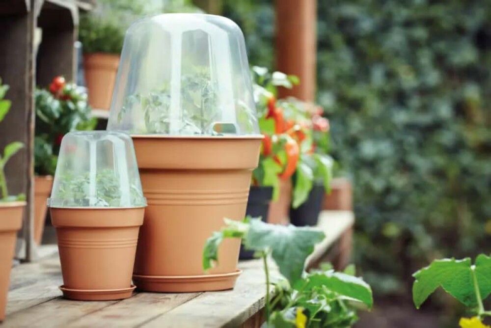 Blómapottalok Green Basics Ø17cm Elho glært