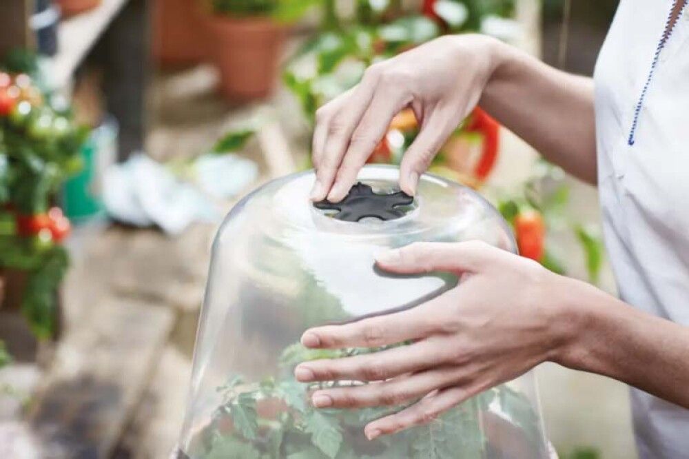 Blómapottalok Green Basics Ø17cm Elho glært