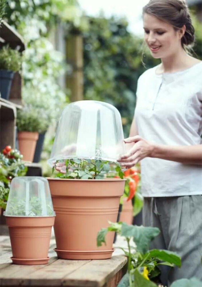 Blómapottalok Green Basics Ø17cm Elho glært